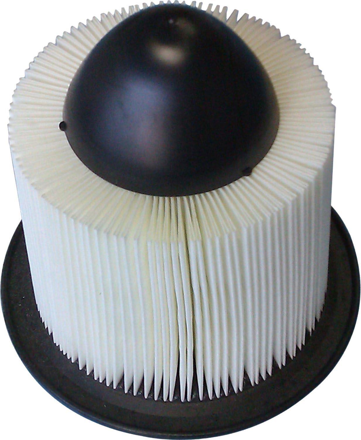 imageBOSCH 5283WS Workshop Engine Air Filter  Compatible with Select Ford E150 E250 E350 E450 Excursion Expedition F150 F250 F350 F450 F550 Mustang Lincoln Continental Navigator5283WS